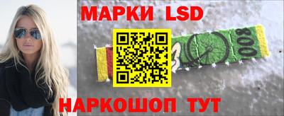 молекула духа Шелехов