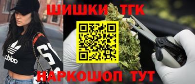 молекула духа Шелехов
