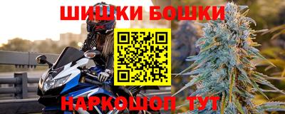 молекула духа Шелехов
