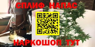 молекула духа Шелехов
