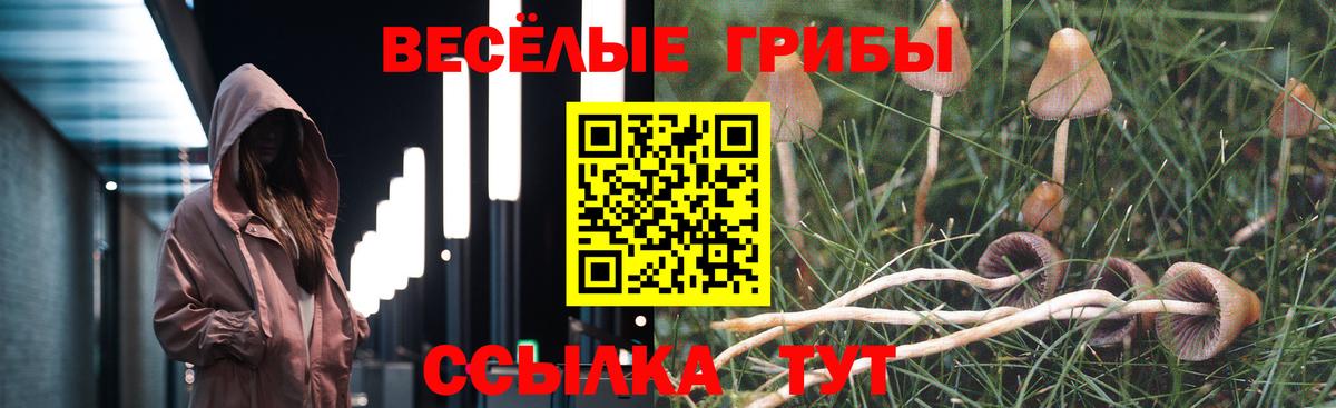 Псилоцибиновые грибы Psilocybine cubensis Ирбит