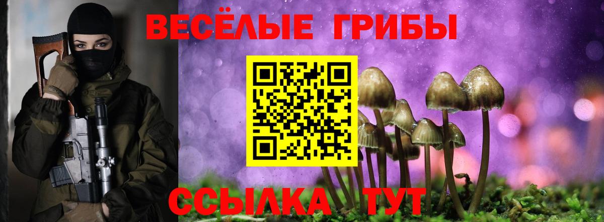 Галлюциногенные грибы Cubensis  Вход с VPN  Ирбит 